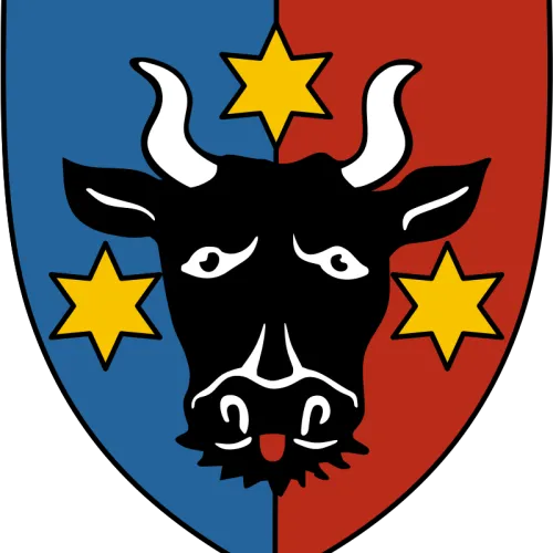 Steag Bucovinei