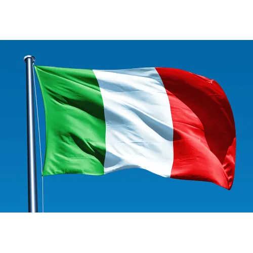 Steag Italia