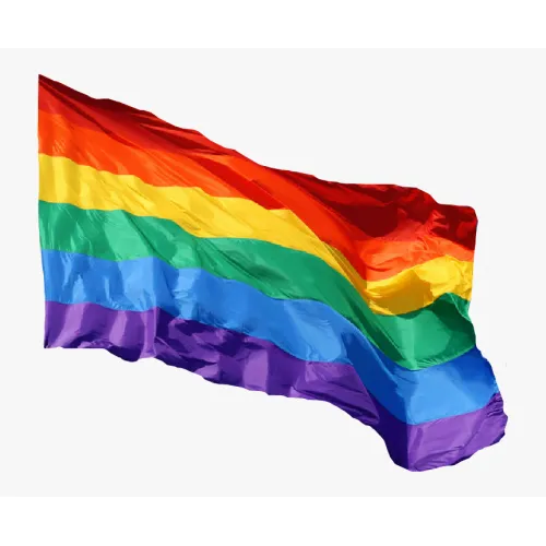 Steag LGBT