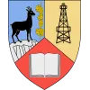Flag of Prahova