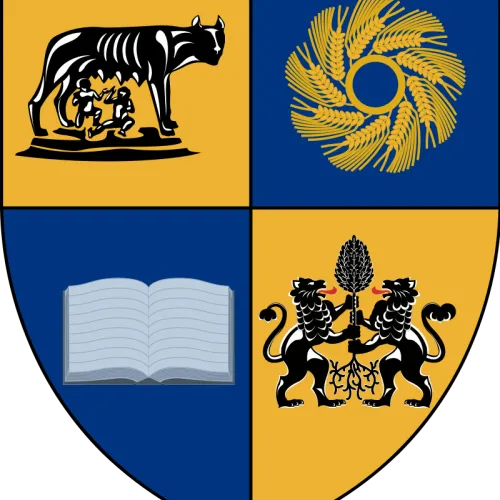 Steag Cluj