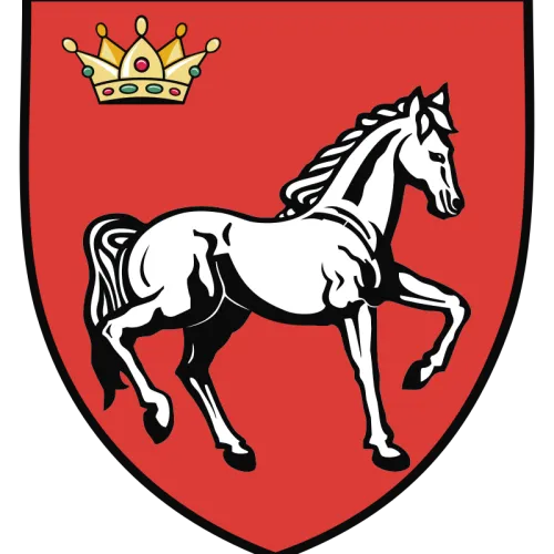 Steag Iași