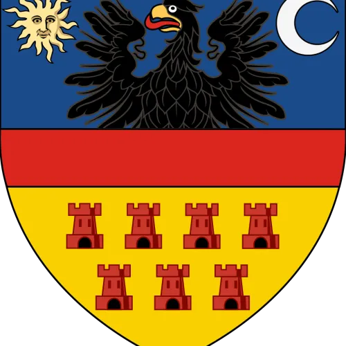 Steag Transilvania 
