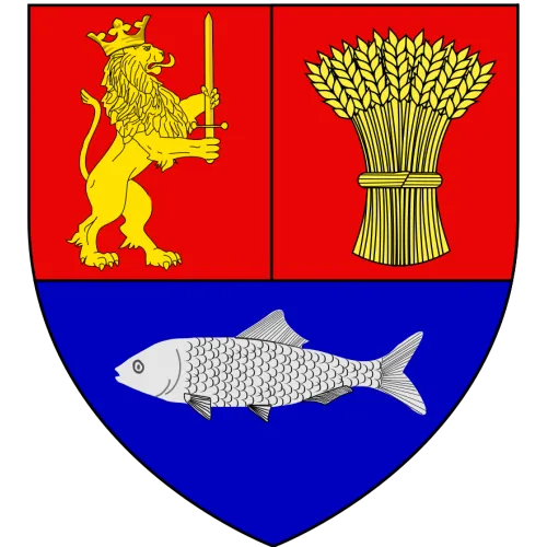 Steag Dolj