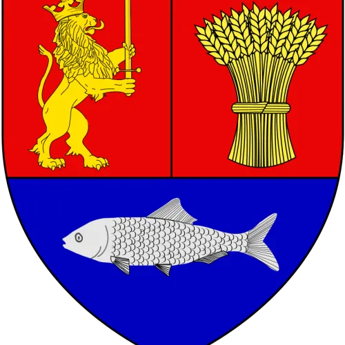Steag Dolj