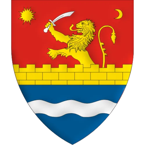 Flag of Timis