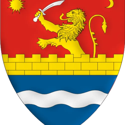Steag Timiș