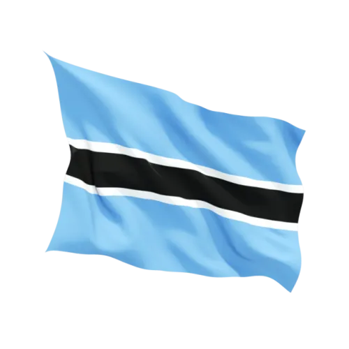 Steag Botswana