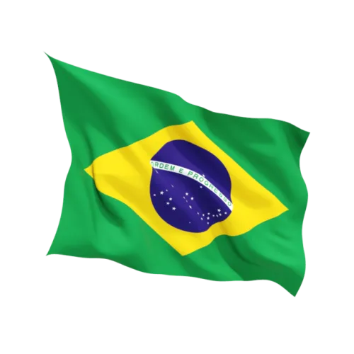 Steag Brazilia