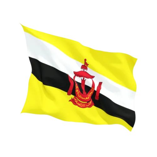 Steag Brunei