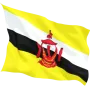 Steag Brunei
