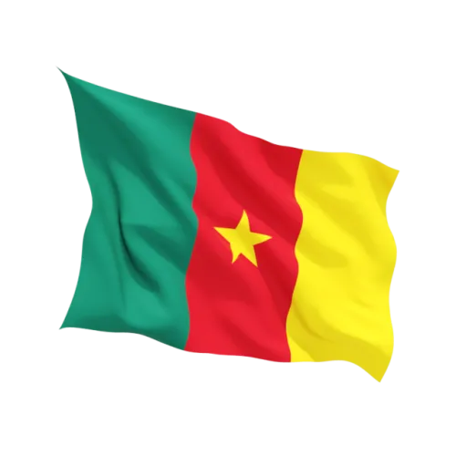 Flag of Cameroon