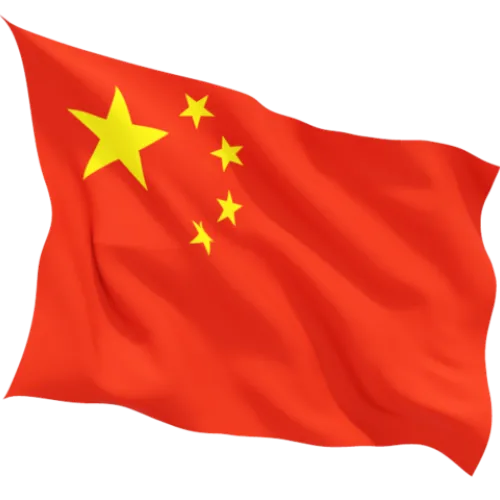 Steag China