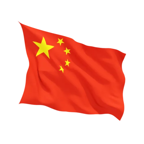 Steag China