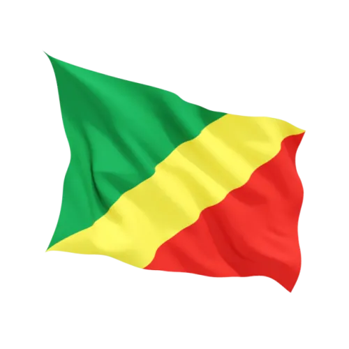 Steag Republica Congo