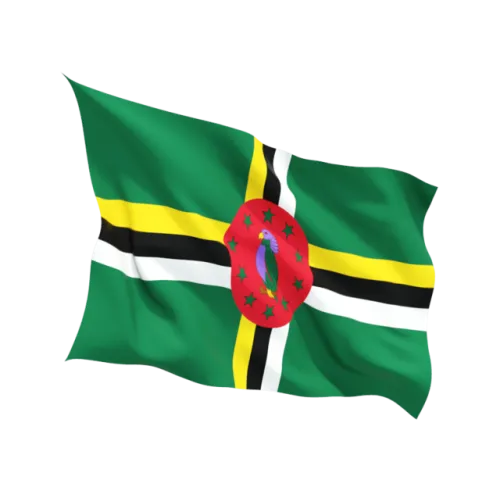 Steag Dominica