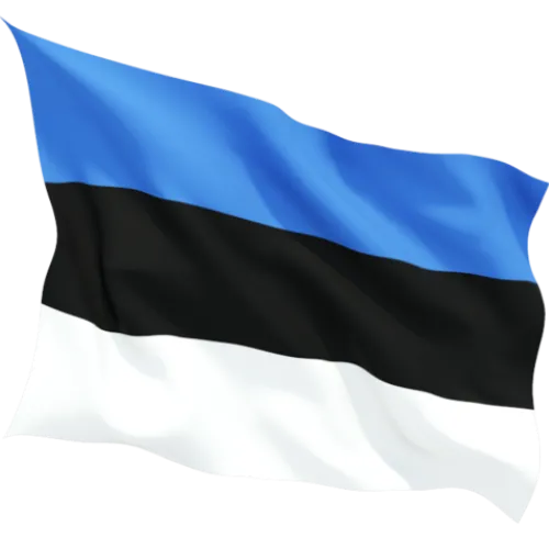 Steag Estonia