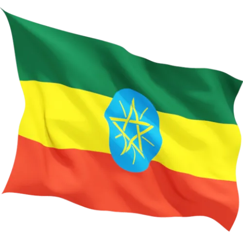 Steag Etiopia