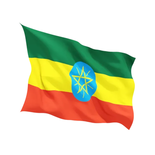 Steag Etiopia