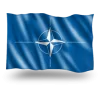 Steag NATO