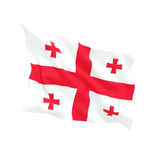 Steag Georgia
