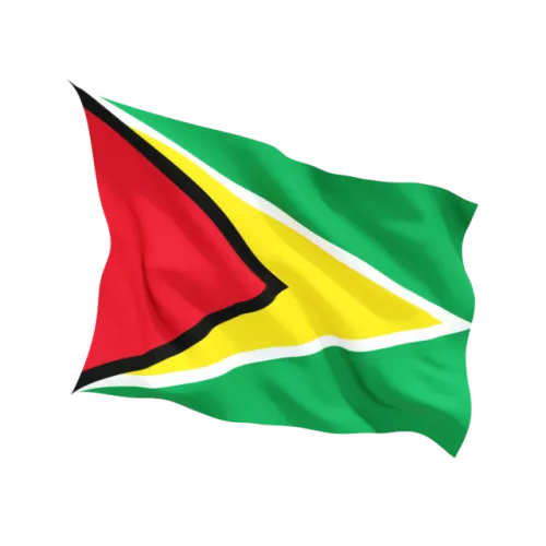 Steag Guyana