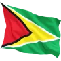 Steag Guyana