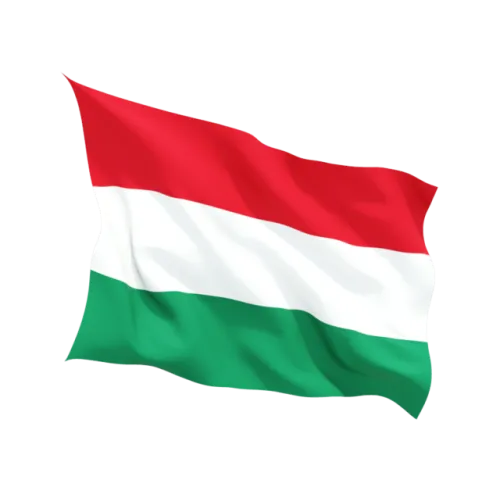 Steag Ungaria