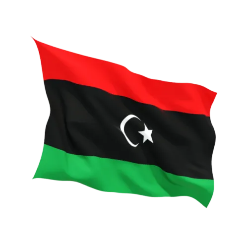 Steag Libia