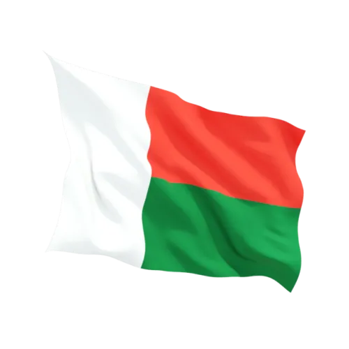 Steag Madagascar