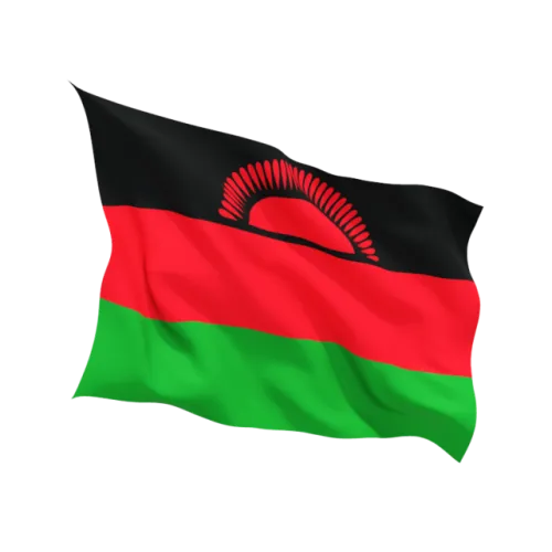 Steag Malawi