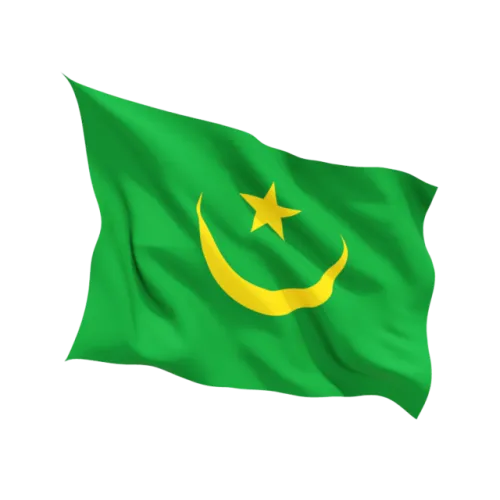 Steag Mauritania