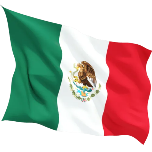 Steag Mexic