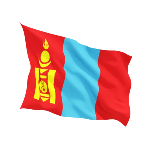 Steag Mongolia