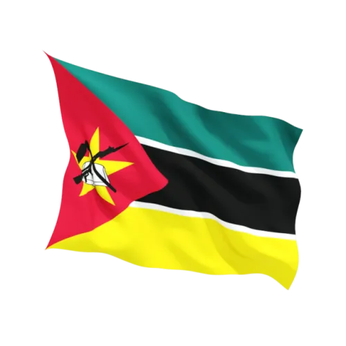Steag Mozambic