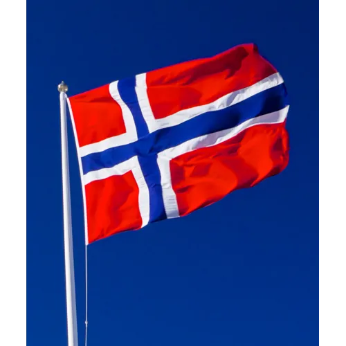 Steag Norvegiei