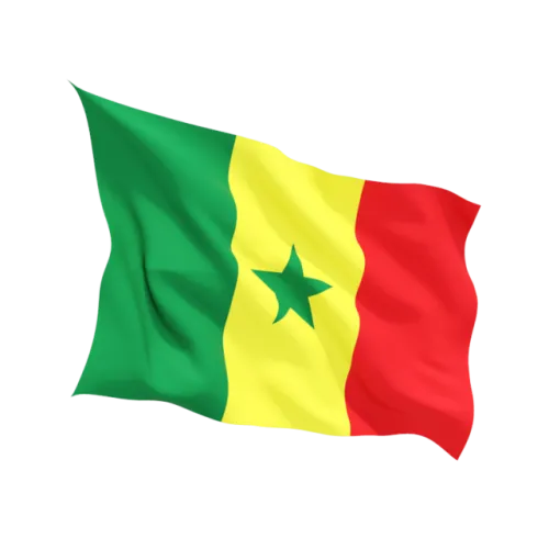 Flag of Senegal