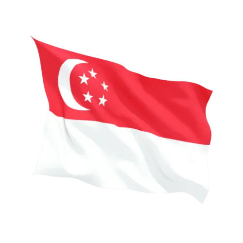 Steag Singapore