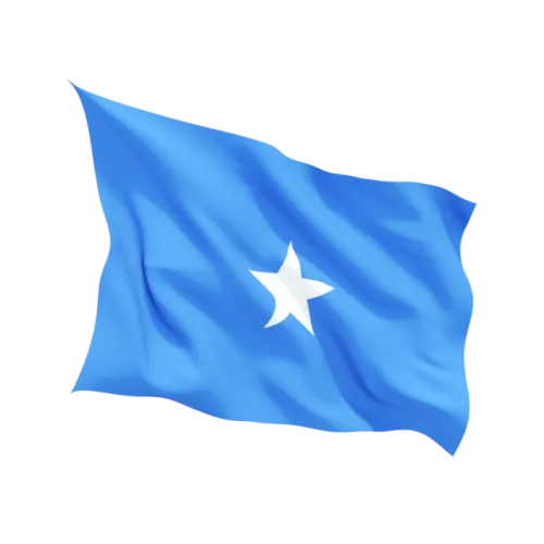Steag Somalia