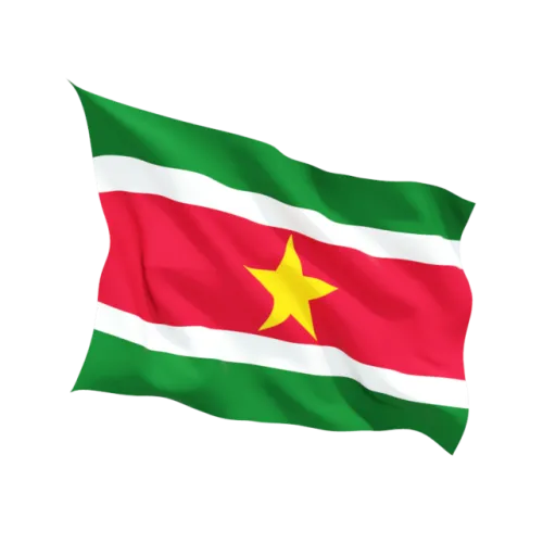 Steag Surinam