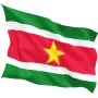 Steag Surinam