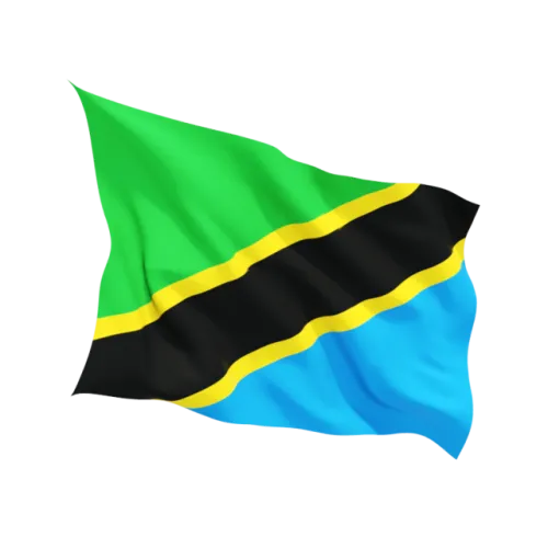 Steag Tanzania