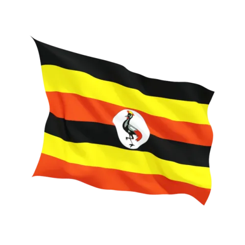 Steag Uganda