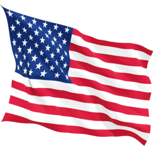 Steag Statelor Unite ale Americii