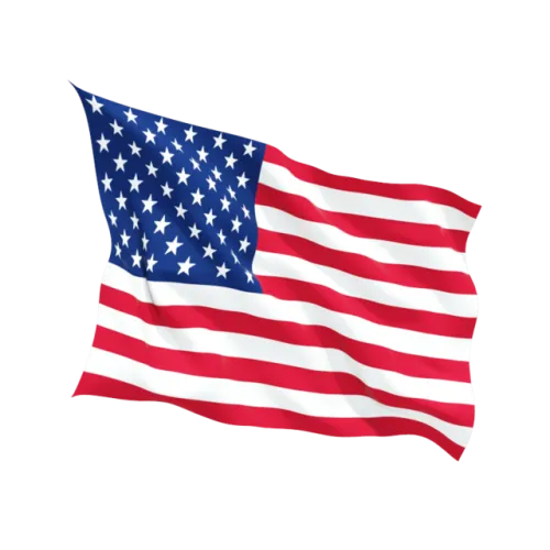 Steag Statelor Unite ale Americii