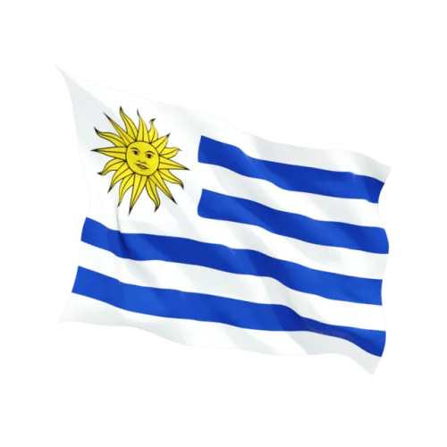 Steag Uruguay