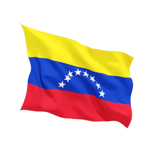 Steag Venezuela