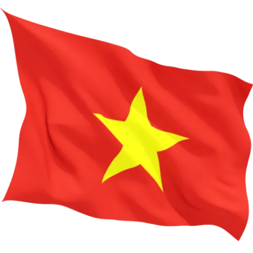 Steag Vietnam