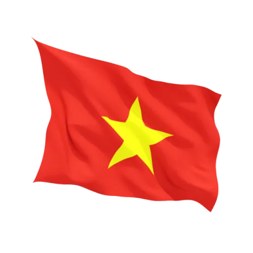 Steag Vietnam